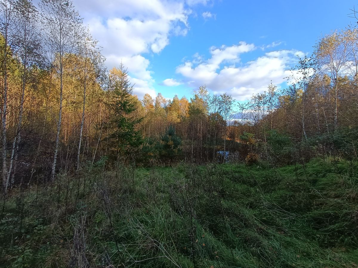 Działka budowlana Gromadzin, ul. Źródlana. Zdjęcie 11