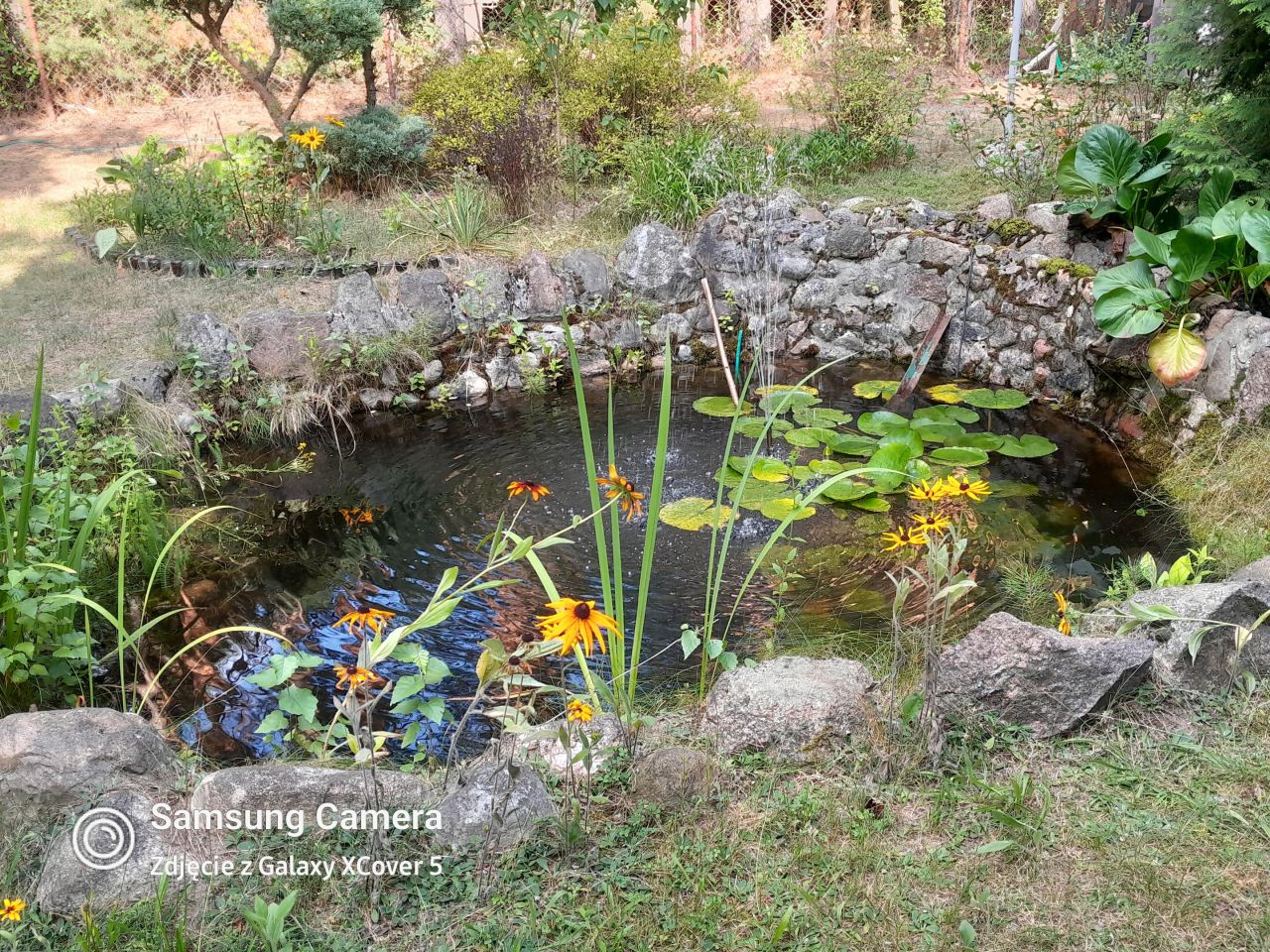 Działka rekreacyjna Zambski Kościelne. Zdjęcie 12