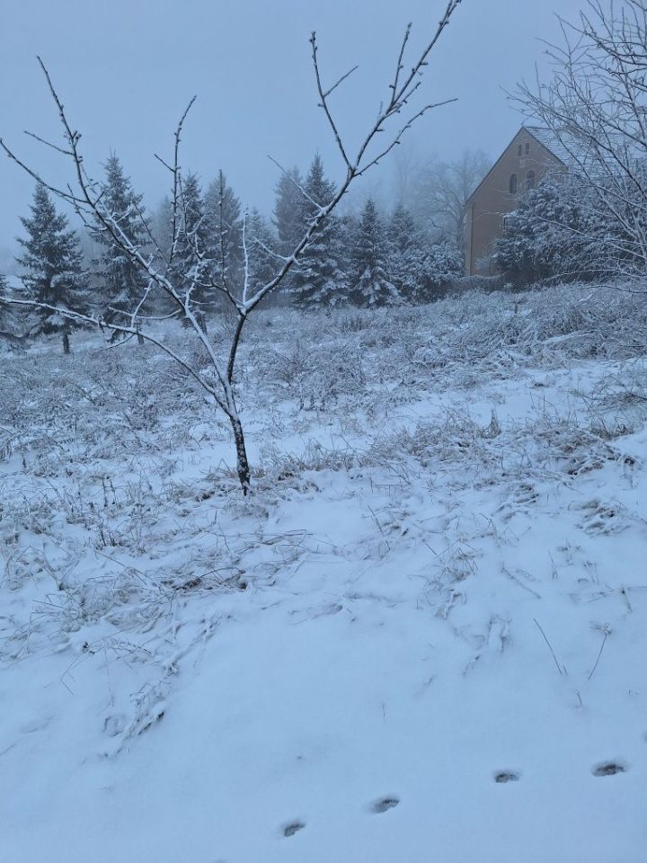 Działka rolno-budowlana Gostków. Zdjęcie 8