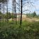 Działka budowlana Zawiercie Wydra Zielona, ul. Winna. Zdjęcie 5