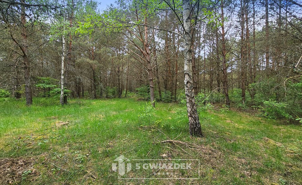 Działka siedliskowa Czochryń. Zdjęcie 14