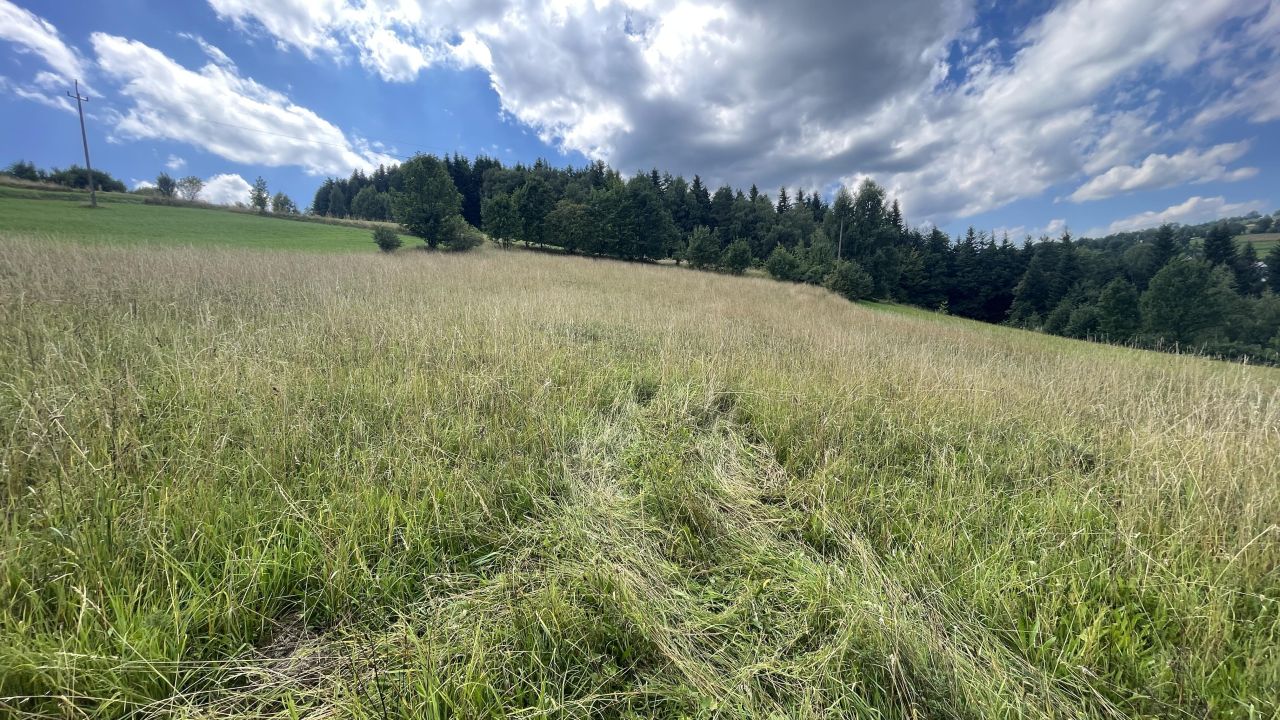 Działka rolna Stara Wieś Rola. Zdjęcie 3