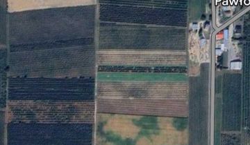 Działka rolna Pawłów