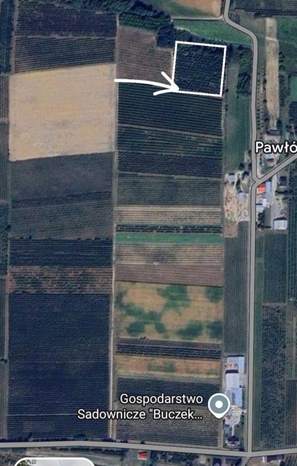 Działka rolna Pawłów. Zdjęcie 2