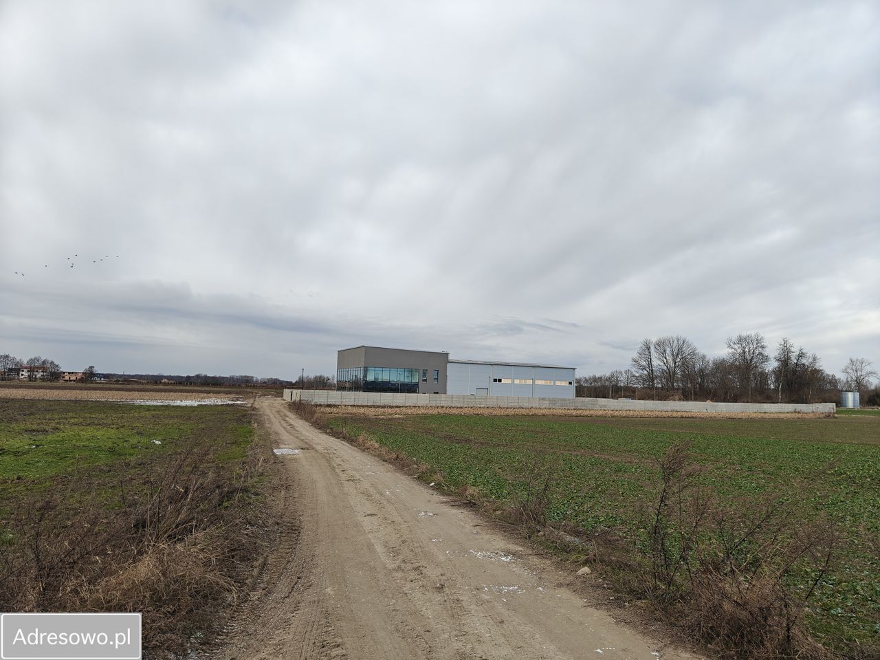 Hala/magazyn Nowa Wieś Kącka. Zdjęcie 8