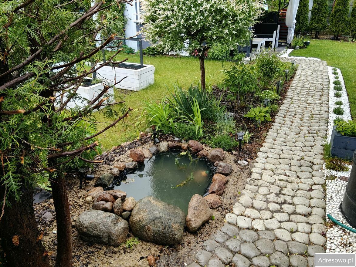 Działka rod Witkowo. Zdjęcie 9