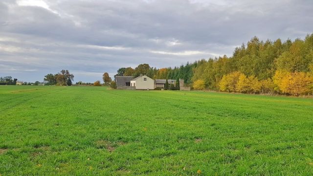 Działka budowlana Przedecz. Zdjęcie 1