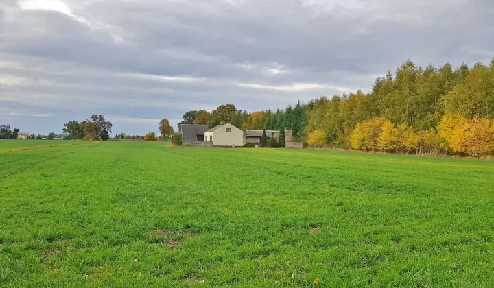 Działka budowlana Przedecz