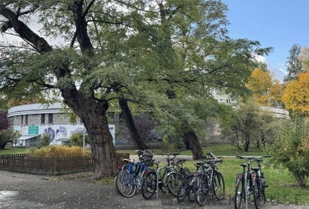 Mieszkanie 3-pokojowe Warszawa Żoliborz, ul. Zygmunta Krasińskiego. Zdjęcie 16