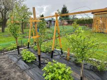 Działka rod Malbork, ul. Sadowa. Zdjęcie 2