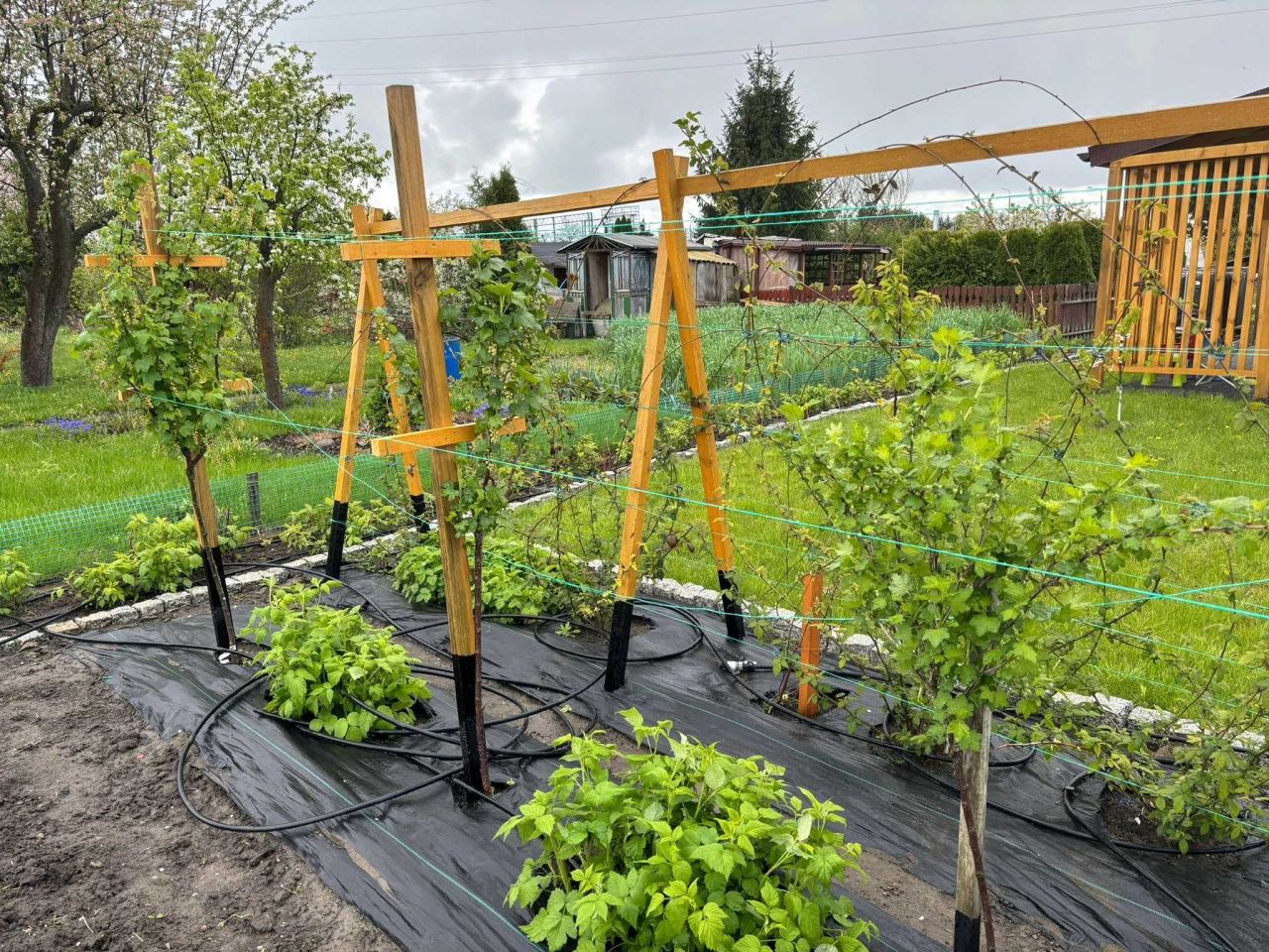 Działka rod Malbork, ul. Sadowa. Zdjęcie 3