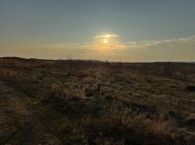 Działka rolna Kawęczyn. Zdjęcie 3