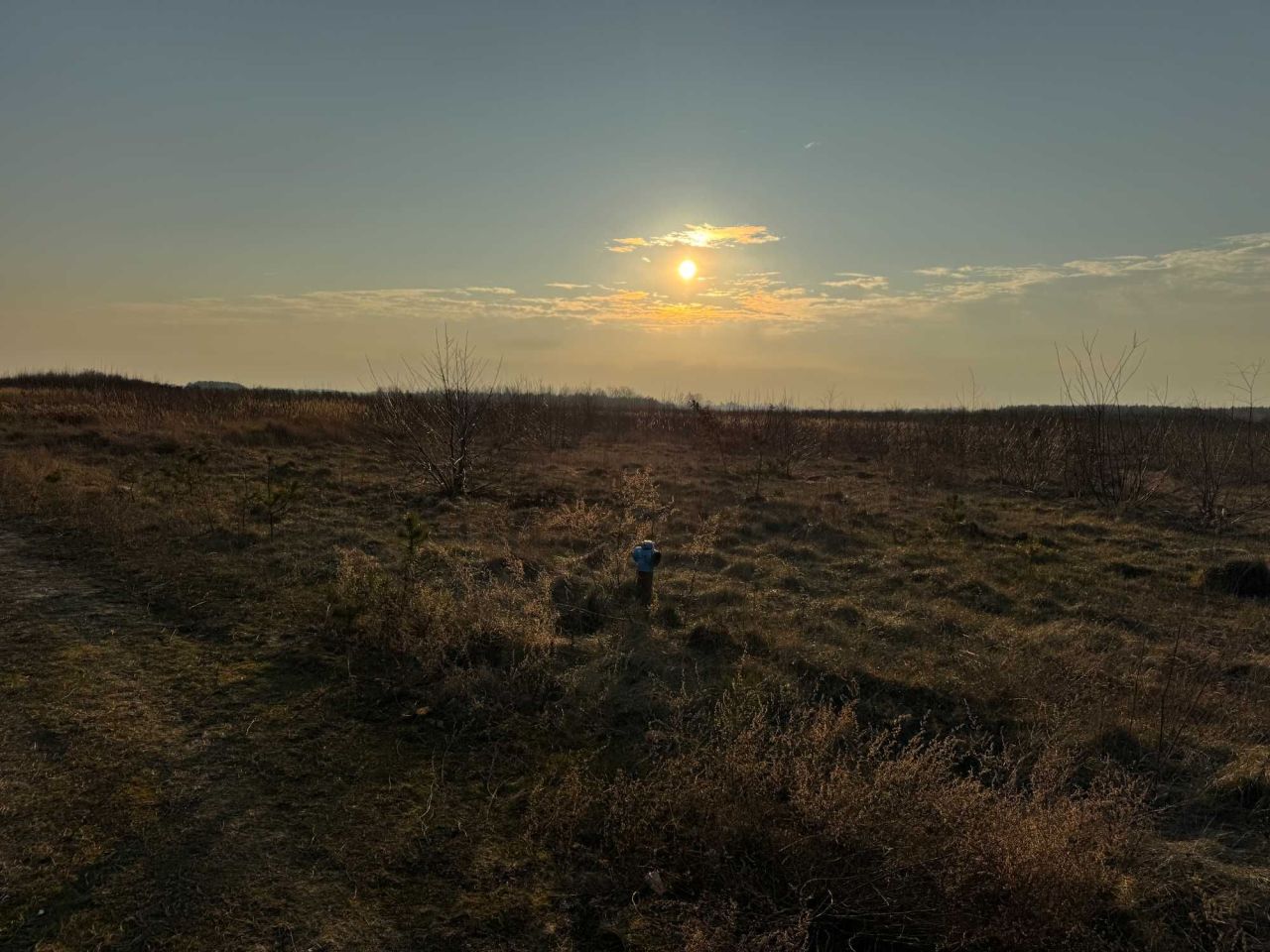 Działka rolna Kawęczyn. Zdjęcie 4