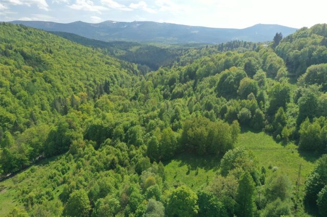 Działka budowlana Piechowice. Zdjęcie 13