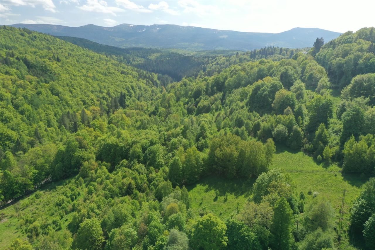 Działka budowlana Piechowice. Zdjęcie 13