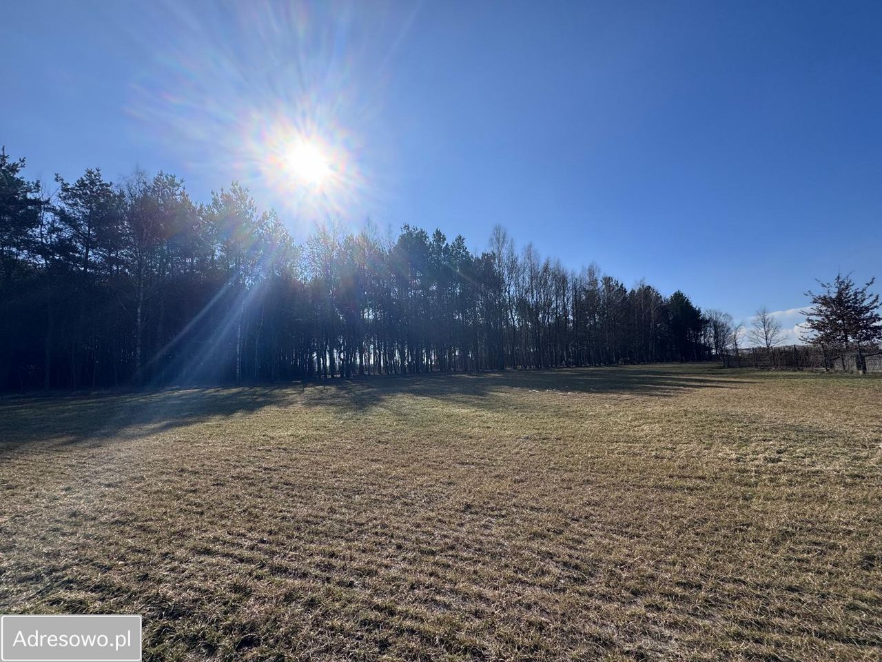 Działka budowlana Kazimierz, ul. Jana Bytnara. Zdjęcie 6