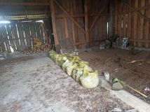 Działka siedliskowa Dobryń Duży. Zdjęcie 3