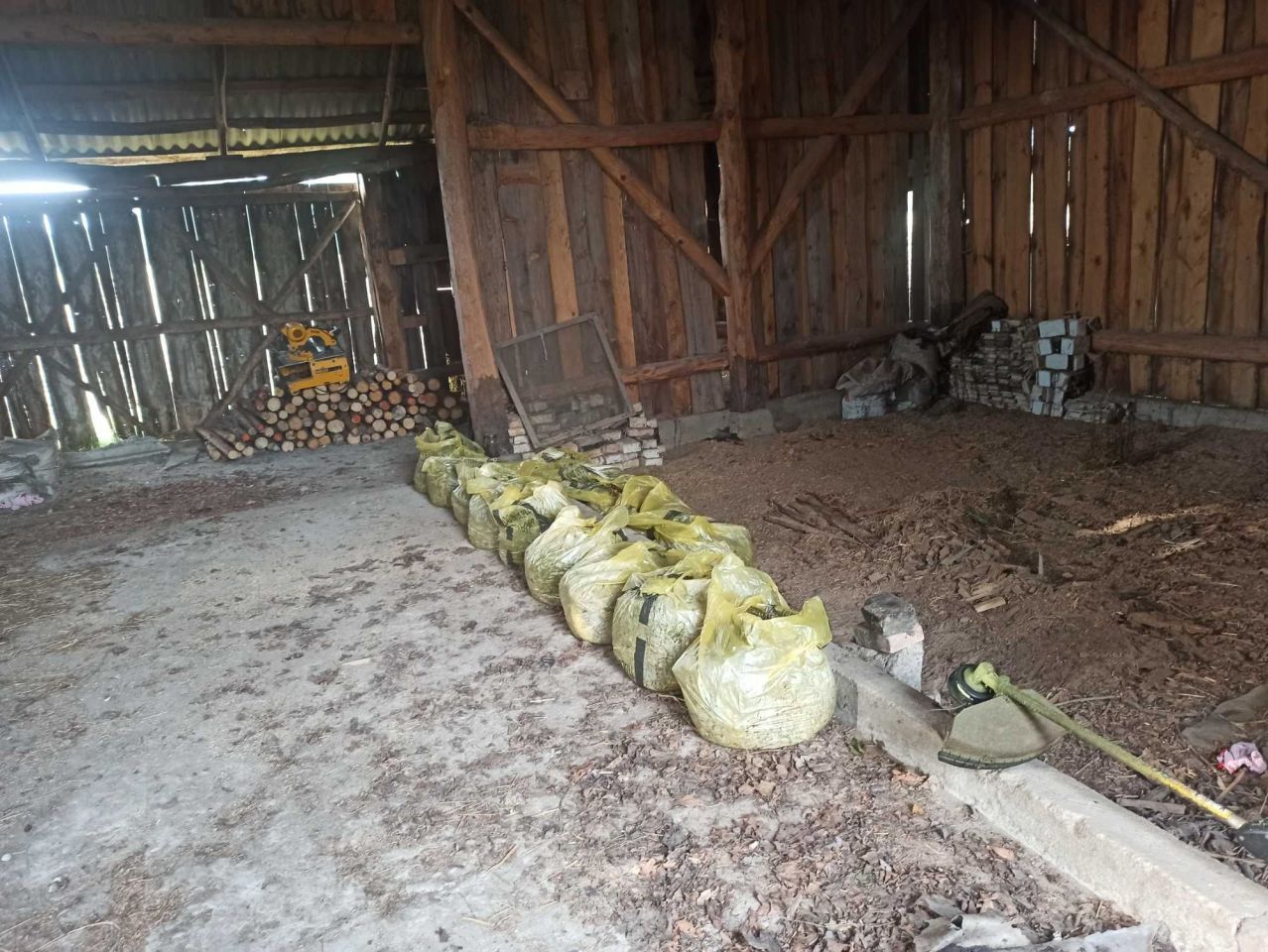 Działka siedliskowa Dobryń Duży. Zdjęcie 4