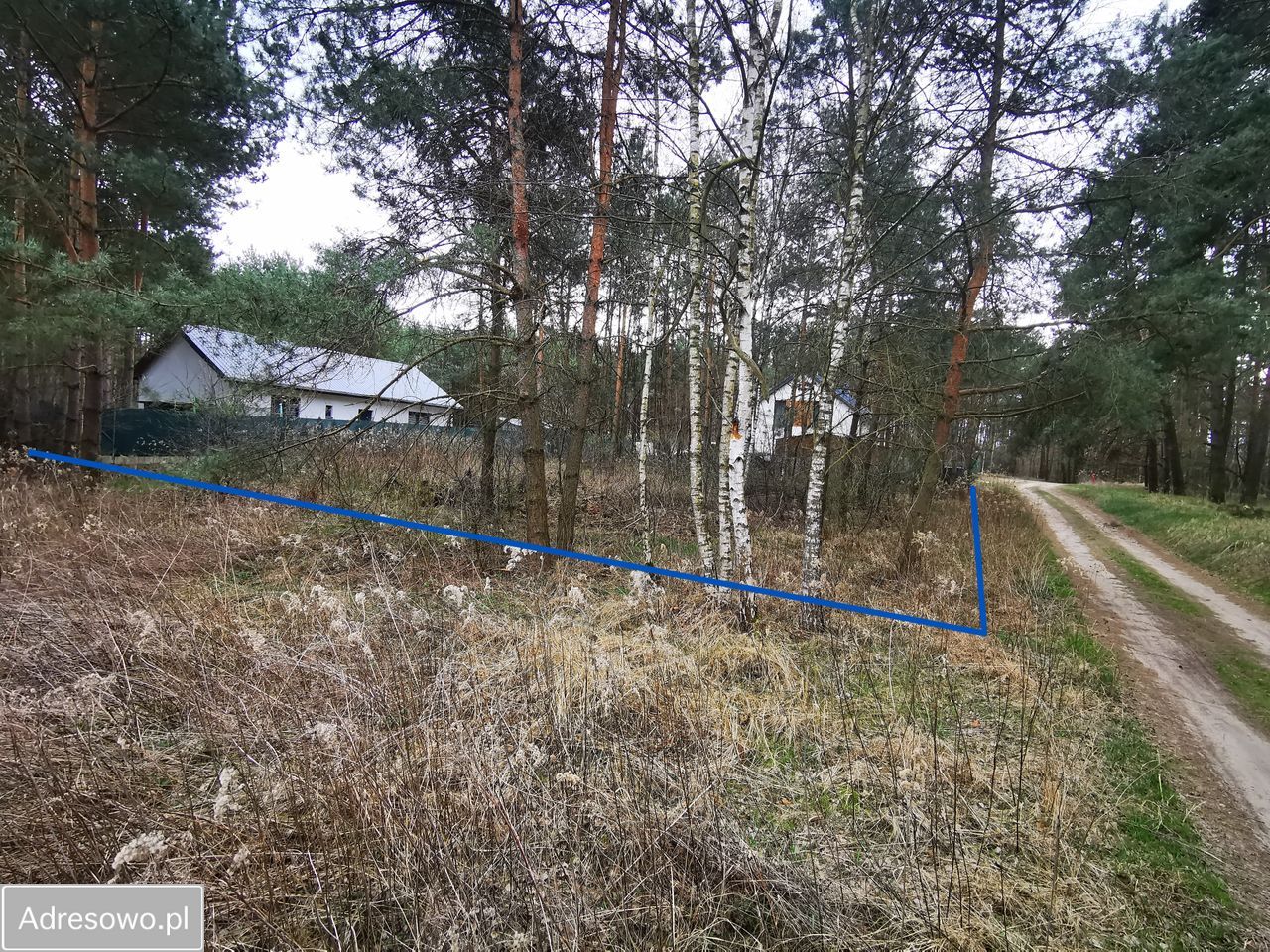 Działka budowlana Rożno-Parcele. Zdjęcie 5