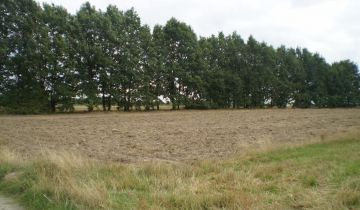 Działka rolna Kowala-Stępocina. Zdjęcie 1