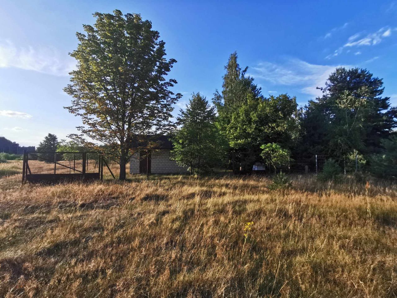 Działka siedliskowa Wymysłów Francuski. Zdjęcie 4