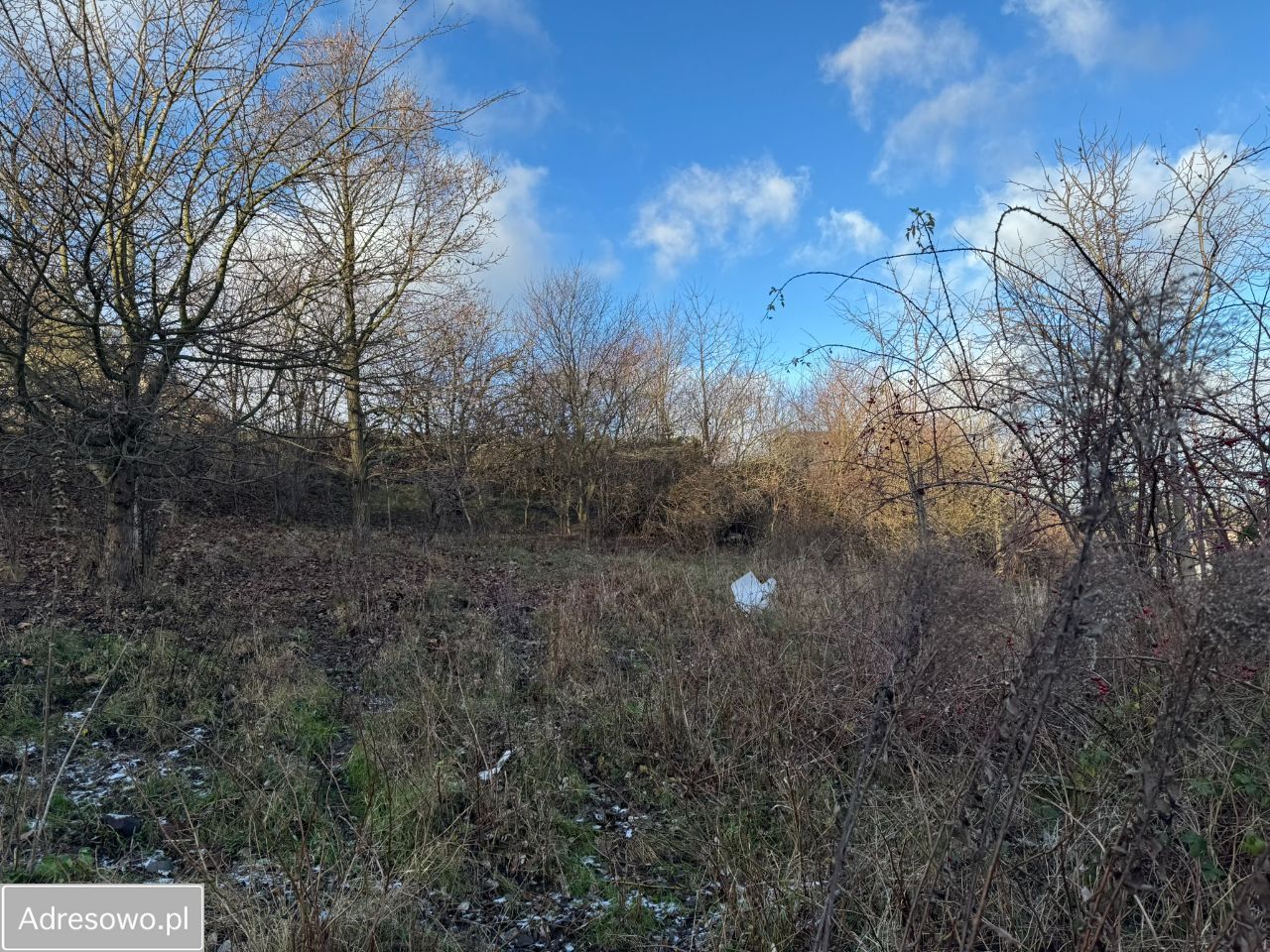 Działka budowlana Gdynia Leszczynki, ul. Stoigniewa. Zdjęcie 6