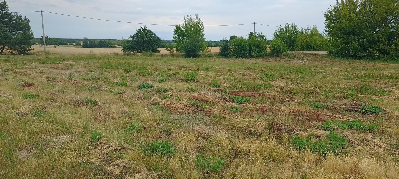 Działka rolno-budowlana Grabowiec. Zdjęcie 5