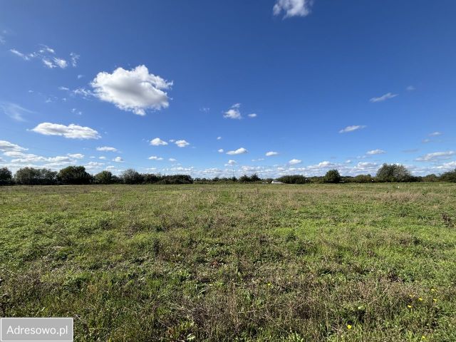 Działka budowlana Ceradz Dolny, ul. Kasztanowa. Zdjęcie 1