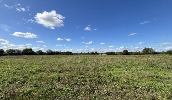 Działka budowlana Ceradz Dolny, ul. Kasztanowa