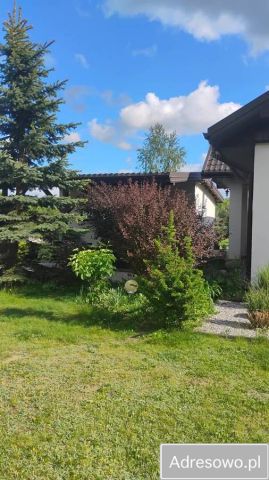 dom wolnostojący, 3 pokoje Dąbrowa. Zdjęcie 8