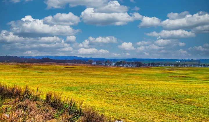 Działka budowlana Olsztyn