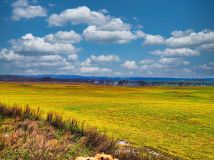 Działka budowlana Olsztyn