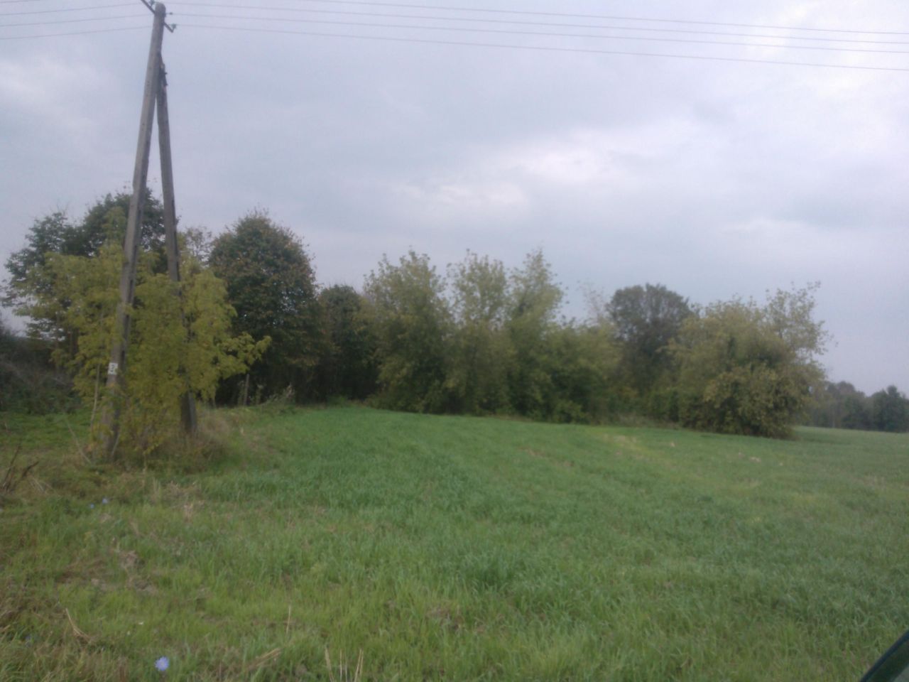 Działka siedliskowa Kosiorki. Zdjęcie 8