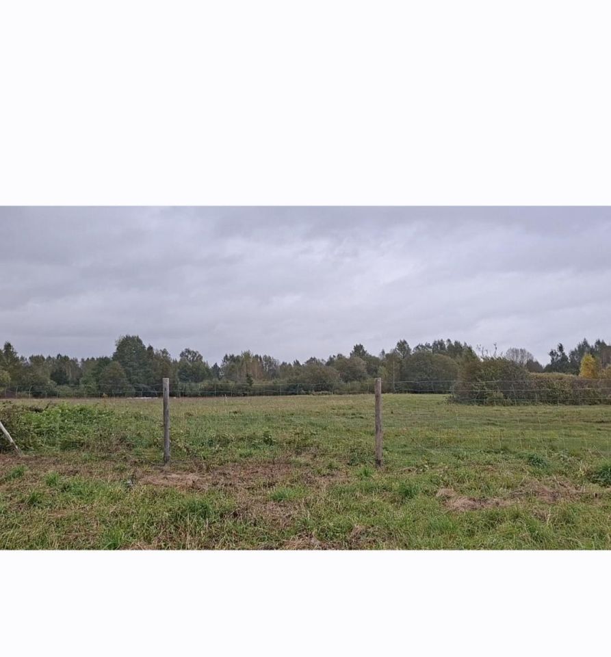 Działka budowlana Patryki. Zdjęcie 6