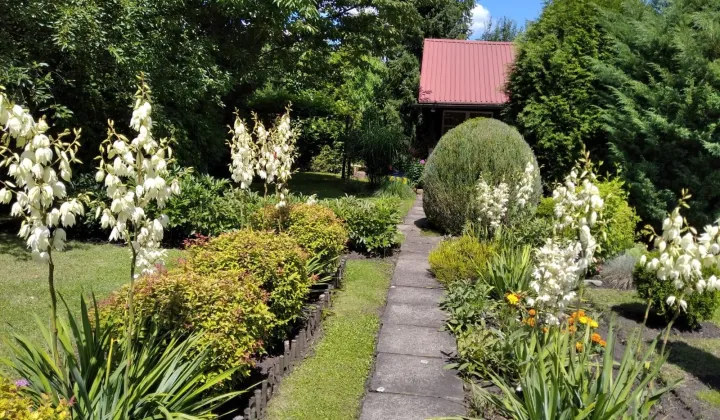 Działka rod Oświęcim