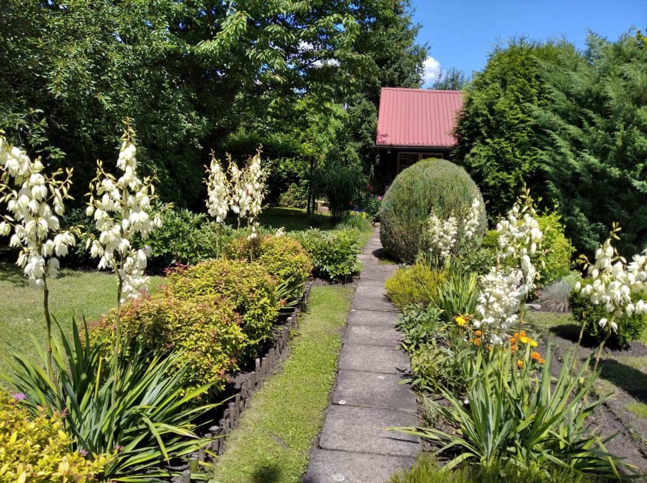 Działka rod Oświęcim. Zdjęcie 1