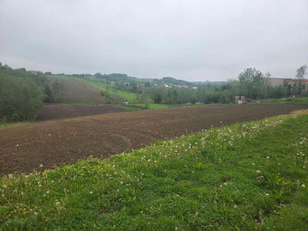 Działka budowlana Dynów. Zdjęcie 3