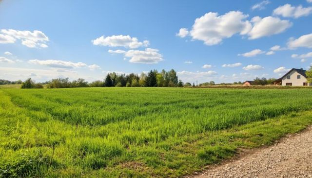 Działka rolno-budowlana Straduny, ul. Wrzosowa. Zdjęcie 4