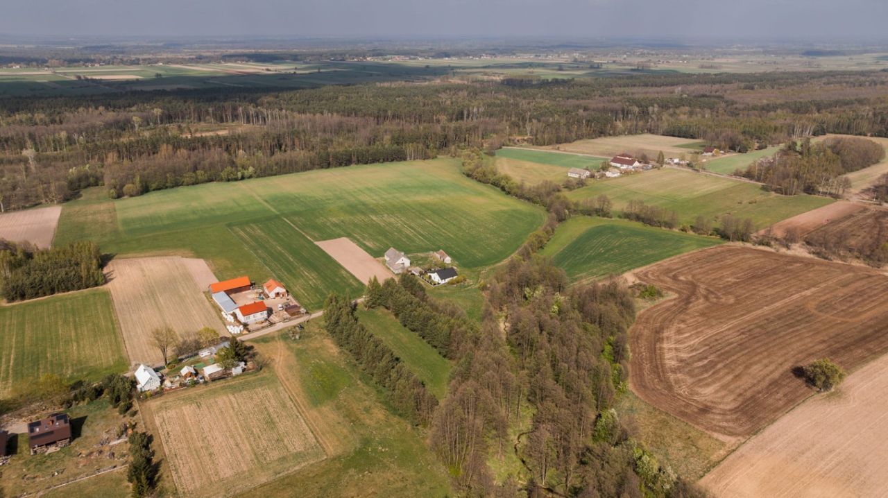 Działka rolno-budowlana Stare Zambski. Zdjęcie 9
