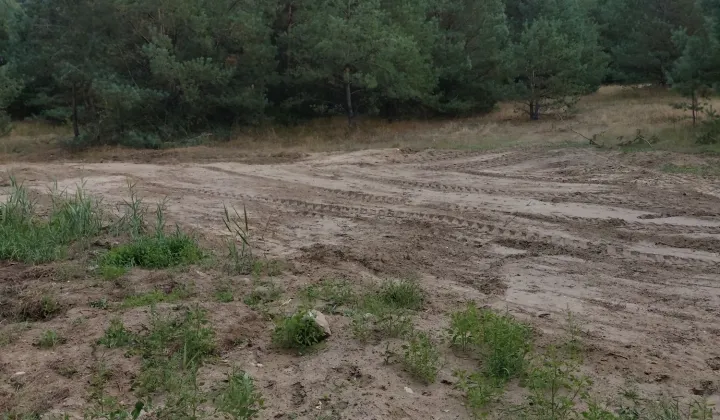 Działka rolna Biały Zdrój