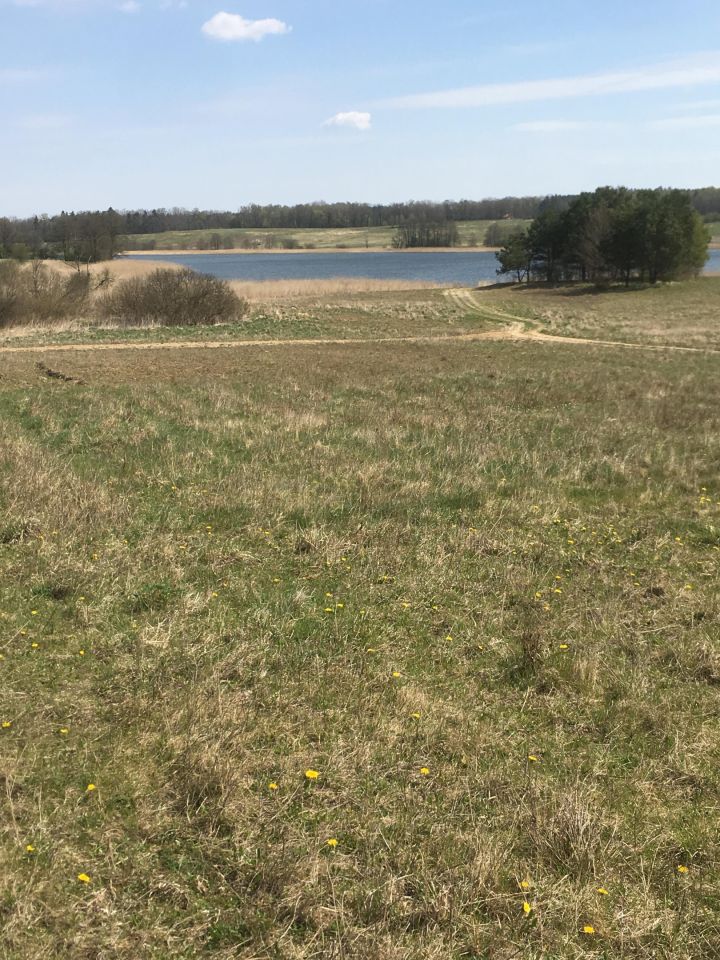 Działka budowlana Trękus. Zdjęcie 3