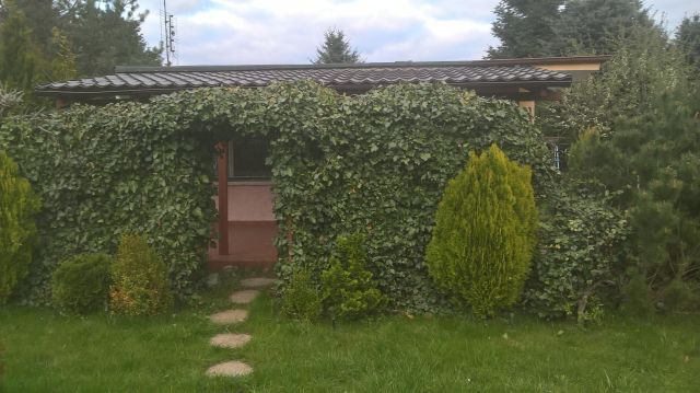 Działka rod Poznań Sypniewo, ul. Sypniewo. Zdjęcie 1