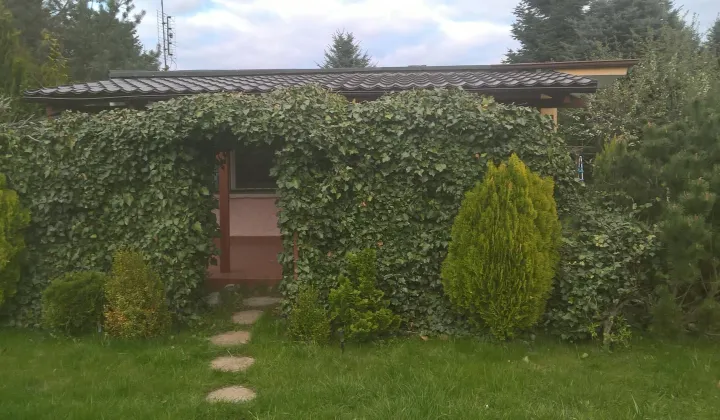 Działka rod Poznań Sypniewo, ul. Sypniewo