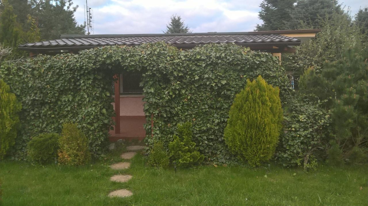 Działka rod Poznań Sypniewo, ul. Sypniewo. Zdjęcie 1