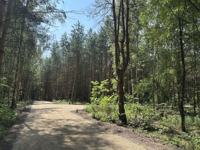 Działka budowlana Nowe Kościeliska. Zdjęcie 1