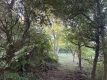 Działka rod Wrocław Polanowice, ul. Polna. Zdjęcie 4