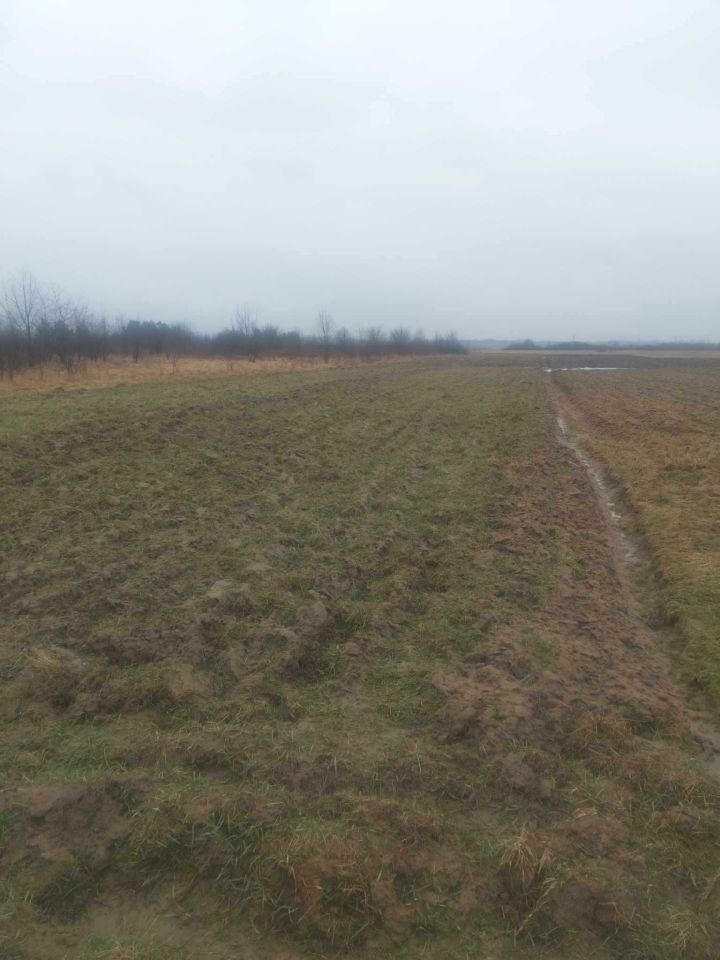 Działka rolna Pysznica. Zdjęcie 2