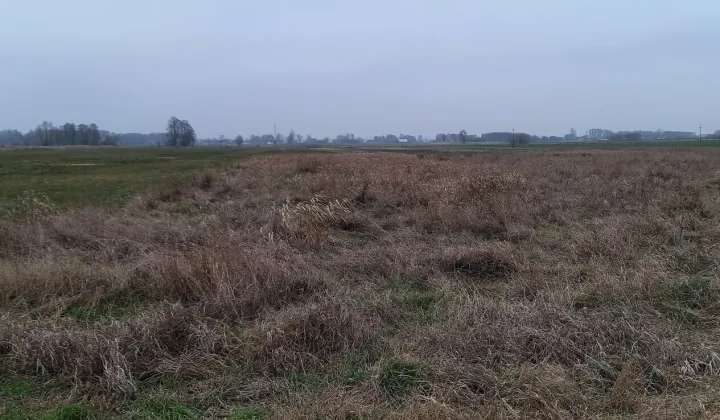 Działka siedliskowa Guzew Nowy Guzew