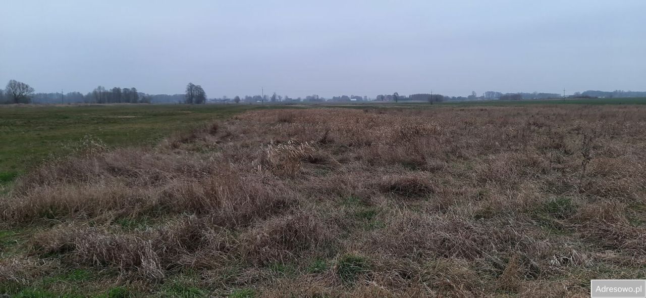 Działka siedliskowa Guzew Nowy Guzew