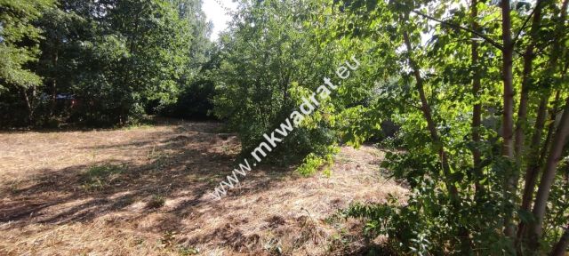 Działka budowlana Milanówek. Zdjęcie 5